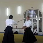 bo-jutsu - premier kata